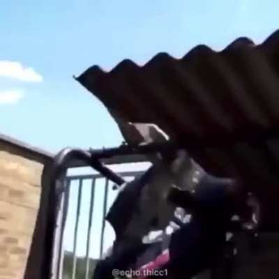 random shitpost😂😎