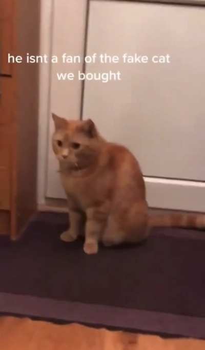 Not sure if this has been posted before but she really isn&rsquo;t happy