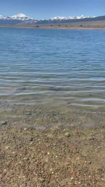 Perfect spot to suck ;) I hope someone saw us [gif]