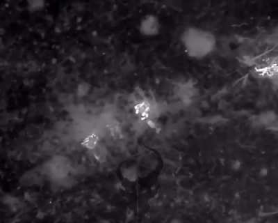 Very effective thermal drone drops on Russian soldiers.