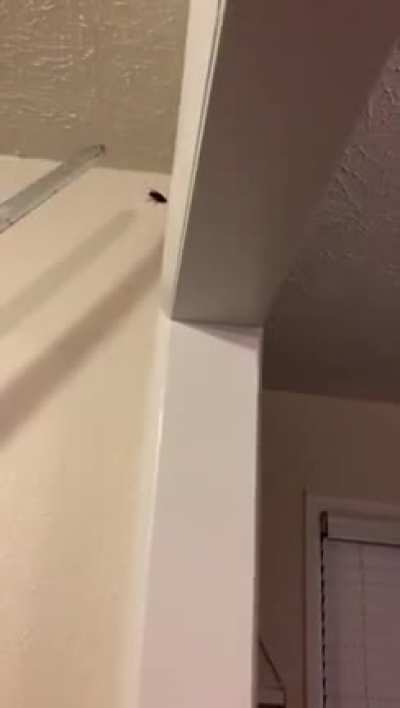 Hunting a bug with my trusty Excalibur!