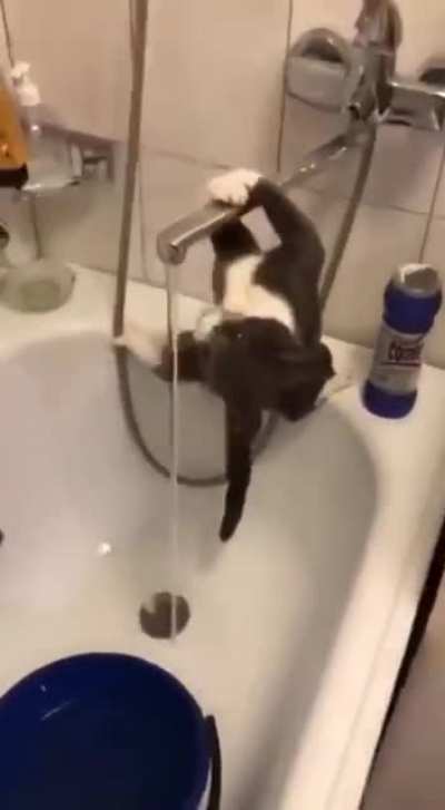 A little acrobat