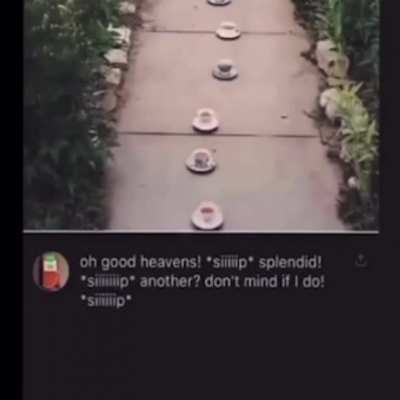 OH GOOD HEAVENS!!