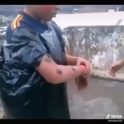 Peruanos en fuga 😲