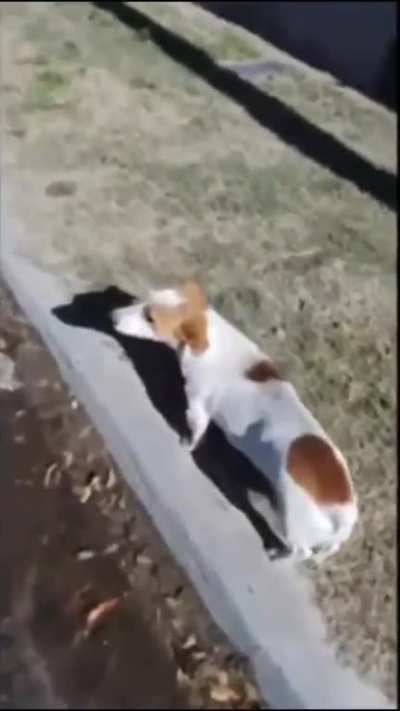 kkkkkkk