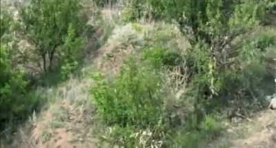 Ukrainian soldier takes the gun of his injured comrade and shoots himself , the injured soldier also uses a grenade to blow himself up