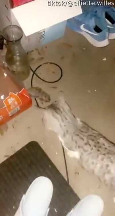 "Here, take this"