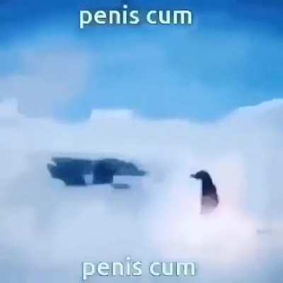 cum penis