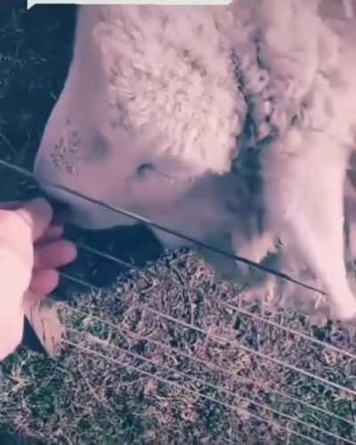 😍