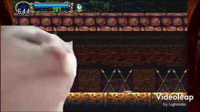 Everytime i play SOTN: