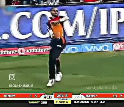 RCB won ipl