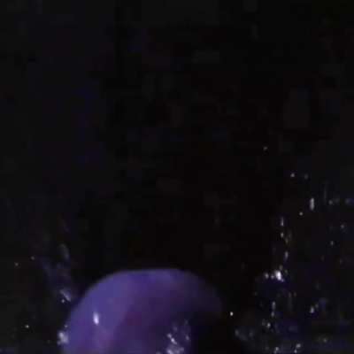 Slowmo Billie butt