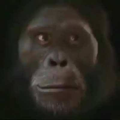 (Found this in r/shitposting) Zook choosing his Beast Titan: