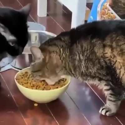 When you&rsquo;re extremely hungry