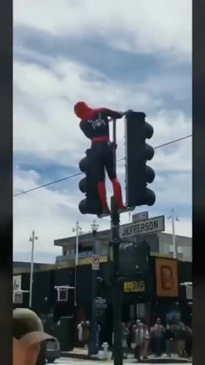 sPiDermAn foRcEd tO tWeRk fOr cAsh afTer rEcenT tErminatiOn