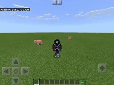 So I installed a Naruto Run resource pack