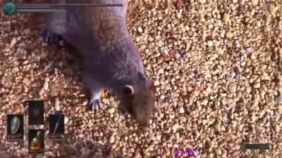 Scary squirrel
