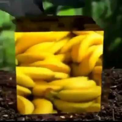 😱