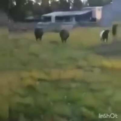 Somente um v&iacute;deo para lhe fazer feliz