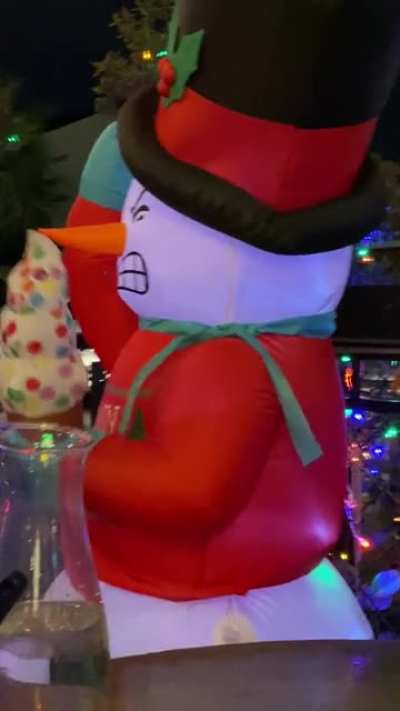 This inflatable thing