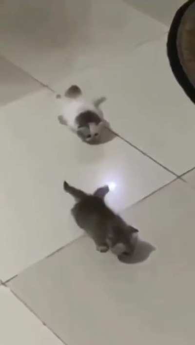 Smol criminal trying to escape prison