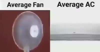 Zort
