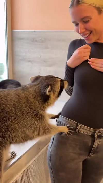 Polina Malinovskaya - Hanging Out with a Cute Raccoon in Dark Jeans and Tight Black Top | IG Story, April 2025