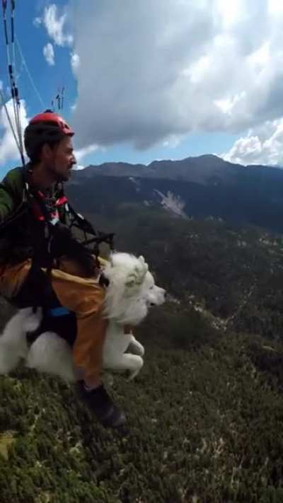Sky diving : Floating with a furry buddy