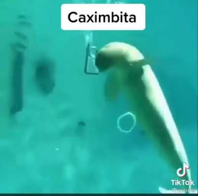 Caximbita 😎☠️😼😈