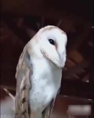 AAAAAAAAAAAAAAAAAAAAAAAAAAAAAAAAAAAAAAAAAAAAAAAAAAAAAAAAAAAAAAAAAAAAAAAAAAAAAAAAAAAAAAAAAAAAAAAAAAAAAAAAAAAAAAAAAAAAAAAAAAAAAAAAAAAAAAAAAAAAAAAAAAAAAAAAAAAAAAAAAAAAAAAAAAAAAAAAAAAAAAAAAAAAAAAAAAAAAAAAAAAAAAAAAAAAAAAAAAAAAAAAAAAAAAAAAAAAAAAAAAAAAAAAAAAAAAA