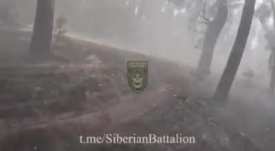 Siberian Battalion in the north of the Kharkov region - the beginning of a new Russian offensive (May 15)