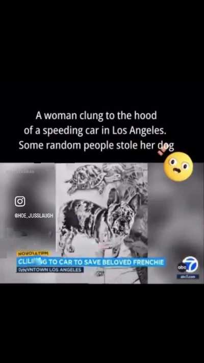 Woman hang onto hood of thieves car because they stole her dog