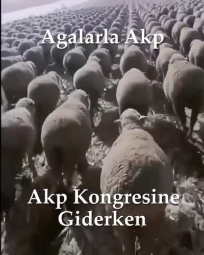 Agalarla akp kongresine giderken