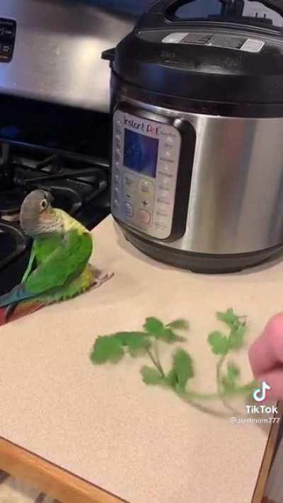 Bonk