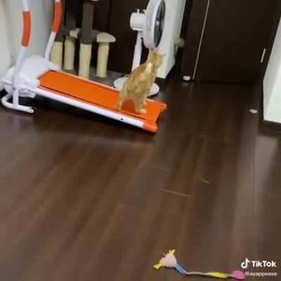 Рота подъ&euml;м!