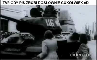 Incele: bezwarunkowo kochające partnerki nie istnieją, prawdziwa miłość to mit. Ja:
