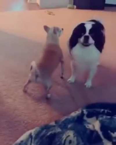 Flertando