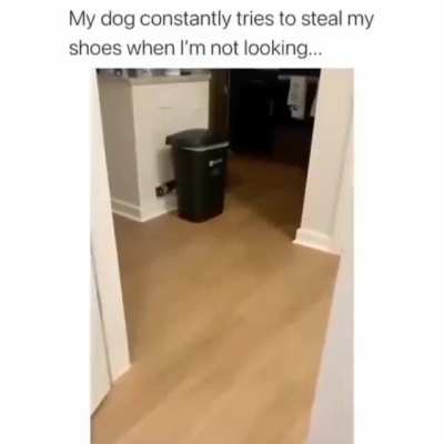 Cute Little Thief!