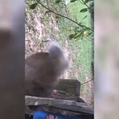 Вы думаете, что у вас плохой день?