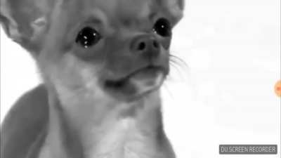 Eu no v&aacute;cuo por 5 horas &deg; No status dela ( AFF ningu&eacute;m pra conversar) &deg; Eu: