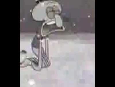 Video Campaign Ad