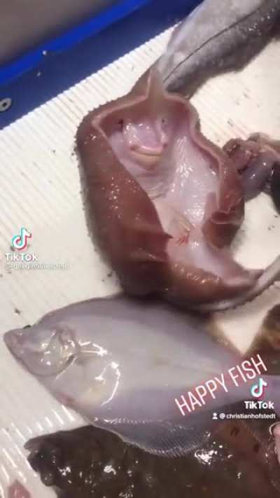 Happy fish