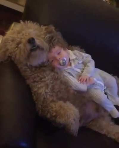 This is the definition of precious!