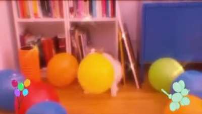 Little balloon man