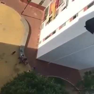 Bullseye!