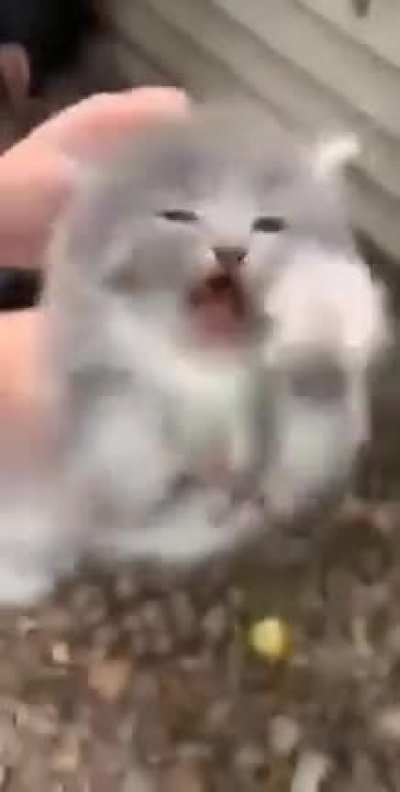 "Oh hes not happy تويميزؤكيةؤنبةؤنءوسمي"