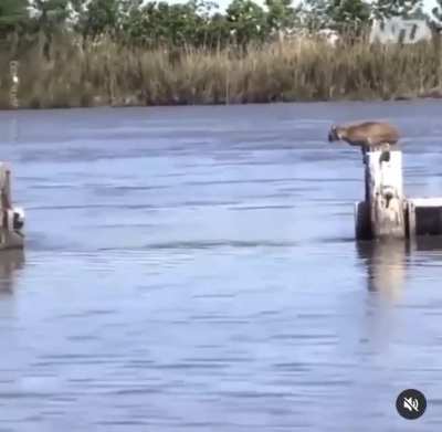 the water is lava