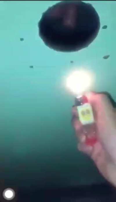 A putaria tá pegando fogo!