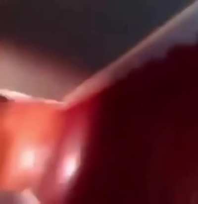 spaghett
