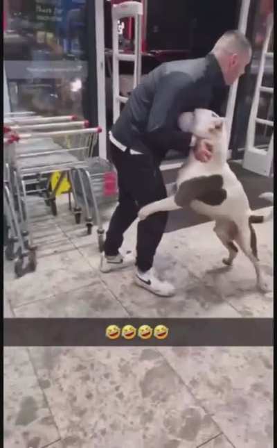Giant dog follows a guy down the street and into the shop trying to hump him.